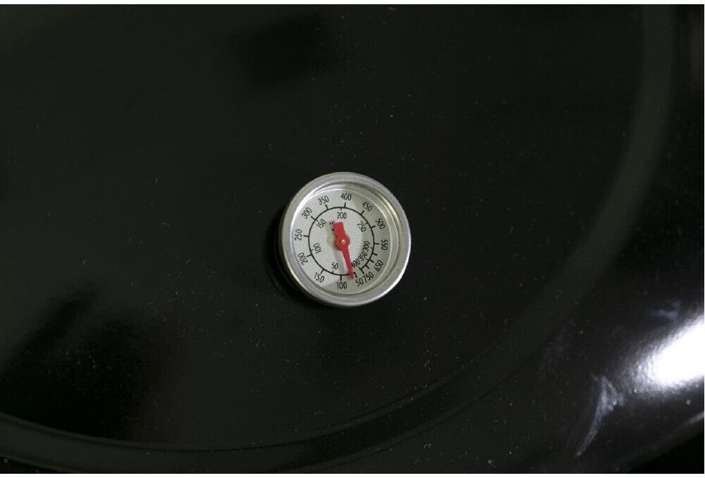 Galileo Barbecue a gas 2 bruciatori BBQ coperchio termometro integrato griglia